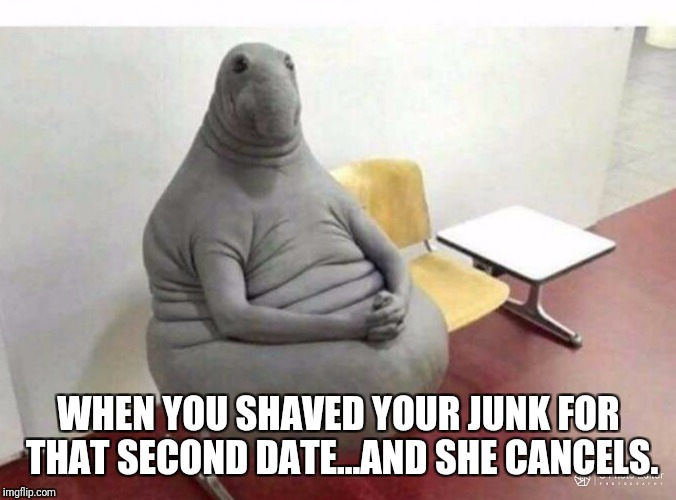 I shaved. She cancelled. And I'm like... | WHEN YOU SHAVED YOUR JUNK FOR THAT SECOND DATE...AND SHE CANCELS. | image tagged in funny memes,dating | made w/ Imgflip meme maker