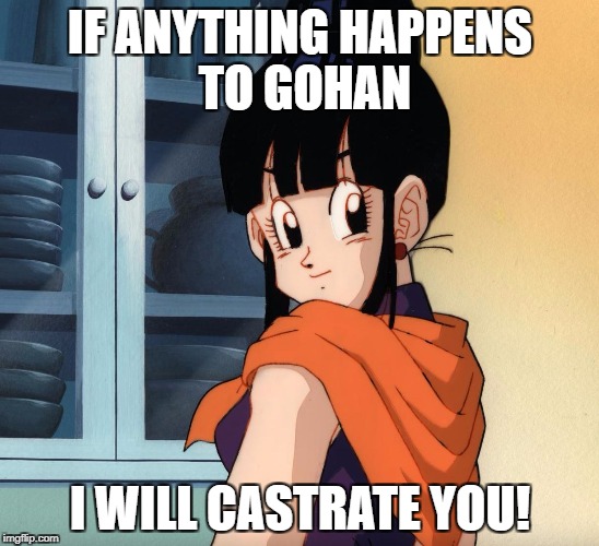 Chichi | IF ANYTHING HAPPENS TO GOHAN; I WILL CASTRATE YOU! | image tagged in chichi | made w/ Imgflip meme maker