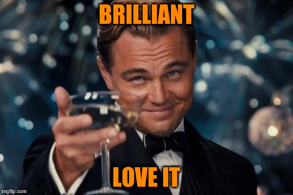 Leonardo Dicaprio Cheers Meme | BRILLIANT LOVE IT | image tagged in memes,leonardo dicaprio cheers | made w/ Imgflip meme maker
