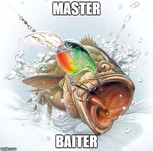 Bass fishing | MASTER; BAITER | image tagged in bass fishing | made w/ Imgflip meme maker