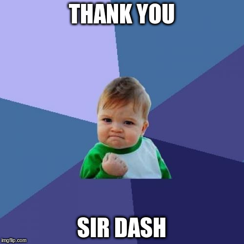 Success Kid Meme | THANK YOU; SIR DASH | image tagged in memes,success kid | made w/ Imgflip meme maker