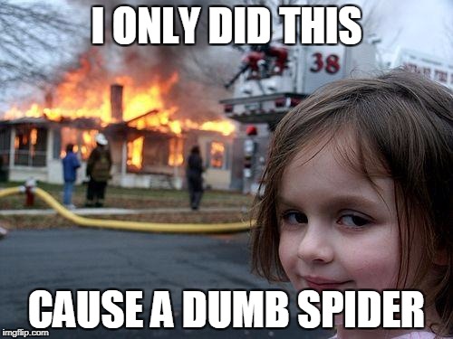Disaster Girl | I ONLY DID THIS; CAUSE A DUMB SPIDER | image tagged in memes,disaster girl | made w/ Imgflip meme maker