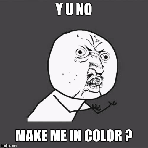 1950's Y U No | Y U NO; MAKE ME IN COLOR ? | image tagged in y u no,black and white | made w/ Imgflip meme maker