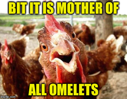 BIT IT IS MOTHER OF ALL OMELETS | made w/ Imgflip meme maker