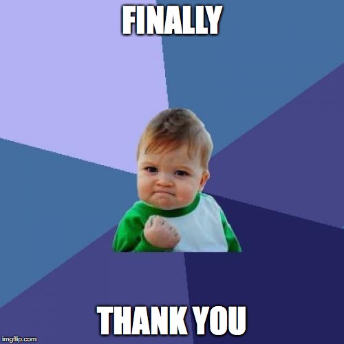 Success Kid | FINALLY; THANK YOU | image tagged in memes,success kid | made w/ Imgflip meme maker