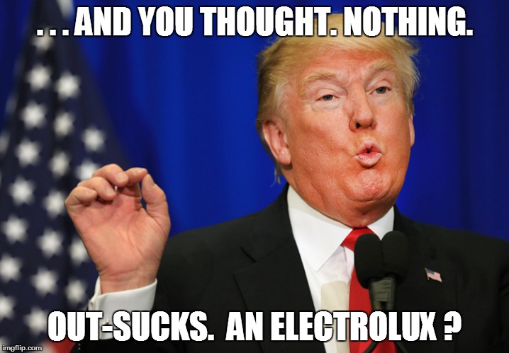 TRUMP SUCKS | . . . AND YOU THOUGHT. NOTHING. OUT-SUCKS.  AN ELECTROLUX ? | image tagged in trump,sucks | made w/ Imgflip meme maker