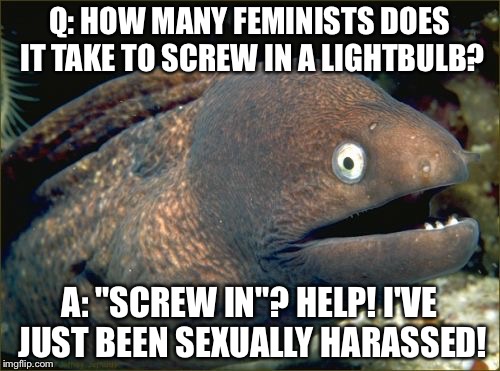 Bad Joke Eel | Q: HOW MANY FEMINISTS DOES IT TAKE TO SCREW IN A LIGHTBULB? A: "SCREW IN"? HELP! I'VE JUST BEEN SEXUALLY HARASSED! | image tagged in memes,bad joke eel | made w/ Imgflip meme maker