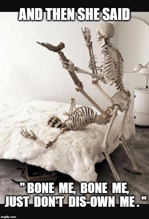 Halloween | AND THEN SHE SAID; " BONE  ME,  BONE  ME, JUST  DON'T  DIS-OWN  ME . " | image tagged in halloween | made w/ Imgflip meme maker