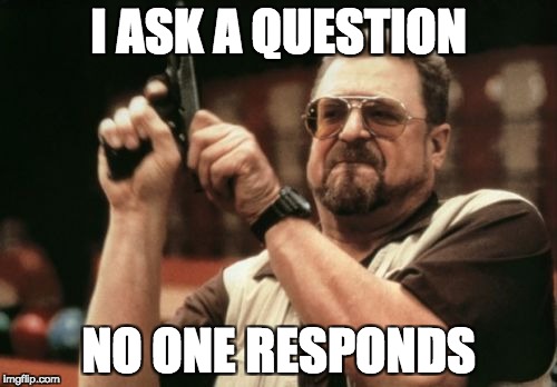 Am I The Only One Around Here | I ASK A QUESTION; NO ONE RESPONDS | image tagged in memes,am i the only one around here | made w/ Imgflip meme maker