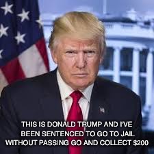 Funny Politics  | THIS IS DONALD TRUMP AND I'VE BEEN SENTENCED TO GO TO JAIL WITHOUT PASSING GO AND COLLECT $200 | image tagged in president | made w/ Imgflip meme maker