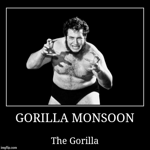 Gorilla Monsoon | image tagged in wwe | made w/ Imgflip demotivational maker