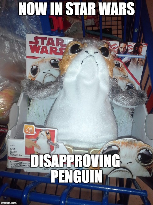  in the next universe over   | NOW IN STAR WARS; DISAPPROVING PENGUIN | image tagged in star wars,star wars no,funny | made w/ Imgflip meme maker