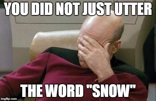 Captain Picard Facepalm | YOU DID NOT JUST UTTER; THE WORD "SNOW" | image tagged in memes,captain picard facepalm | made w/ Imgflip meme maker