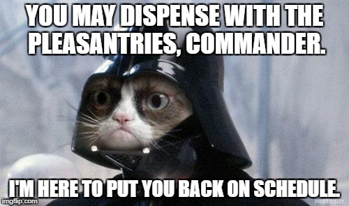 Grumpy Cat Star Wars Meme | YOU MAY DISPENSE WITH THE PLEASANTRIES, COMMANDER. I'M HERE TO PUT YOU BACK ON SCHEDULE. | image tagged in memes,grumpy cat star wars,grumpy cat | made w/ Imgflip meme maker