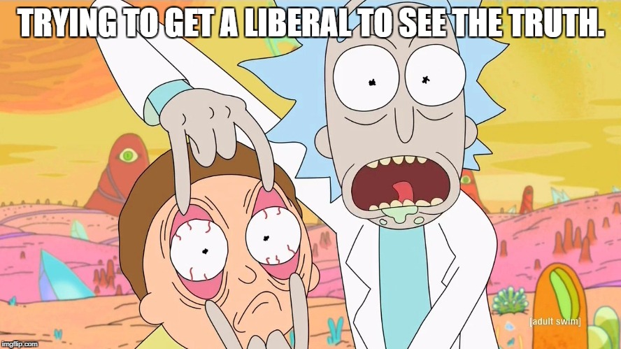 Rick and Morty Scam | TRYING TO GET A LIBERAL TO SEE THE TRUTH. | image tagged in rick and morty scam | made w/ Imgflip meme maker