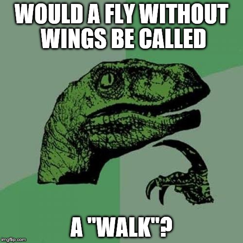 Wait a minute...... | WOULD A FLY WITHOUT WINGS BE CALLED; A "WALK''? | image tagged in memes,philosoraptor | made w/ Imgflip meme maker