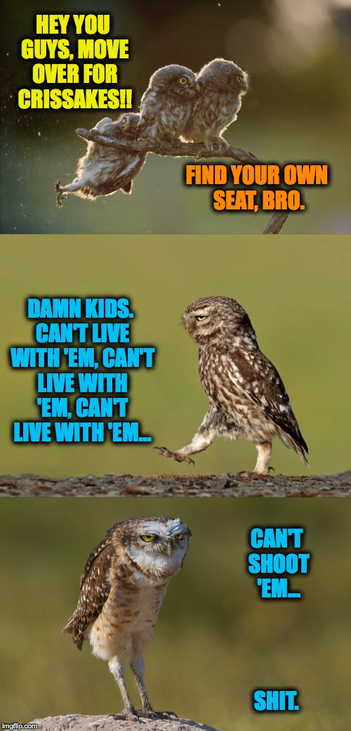 Parenthood | HEY YOU GUYS, MOVE OVER FOR CRISSAKES!! FIND YOUR OWN SEAT, BRO. DAMN KIDS. CAN'T LIVE WITH 'EM, CAN'T LIVE WITH 'EM, CAN'T LIVE WITH 'EM... CAN'T SHOOT 'EM... SHIT. | image tagged in damn kids | made w/ Imgflip meme maker