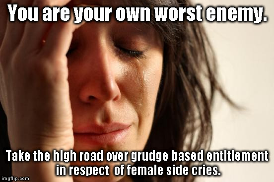 Bullying starts within | You are your own worst enemy. Take the high road over grudge based entitlement in respect  of female side cries. | image tagged in memes,first world problems | made w/ Imgflip meme maker