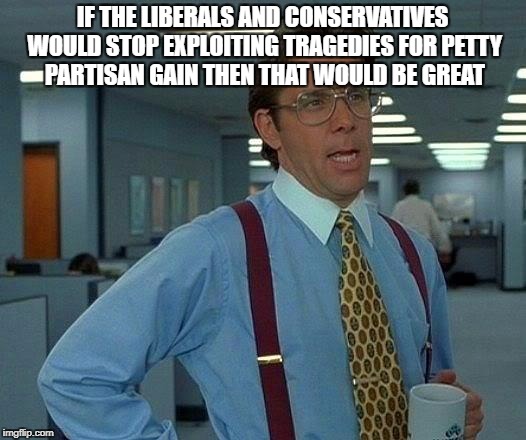 That Would Be Great Meme | IF THE LIBERALS AND CONSERVATIVES WOULD STOP EXPLOITING TRAGEDIES FOR PETTY PARTISAN GAIN THEN THAT WOULD BE GREAT | image tagged in memes,that would be great,politics | made w/ Imgflip meme maker