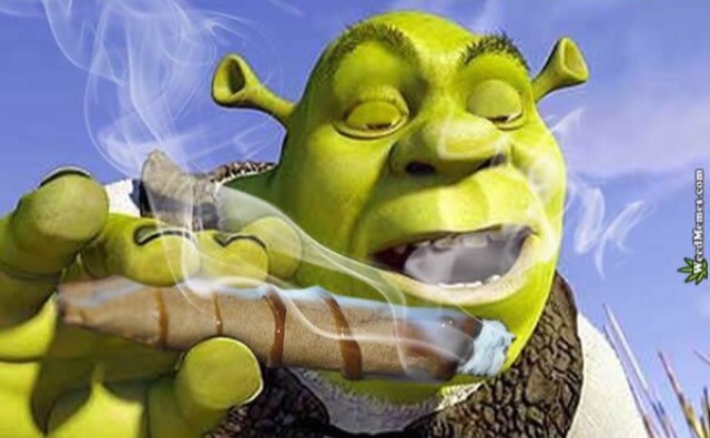 High Quality Shrek Joint Blank Meme Template