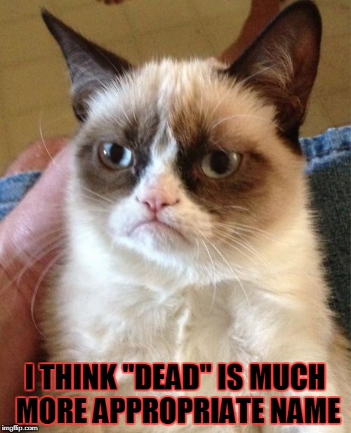 Grumpy Cat Meme | I THINK "DEAD" IS MUCH MORE APPROPRIATE NAME | image tagged in memes,grumpy cat | made w/ Imgflip meme maker