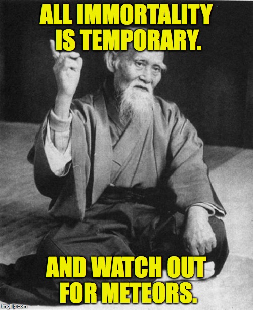 ALL IMMORTALITY IS TEMPORARY. AND WATCH OUT FOR METEORS. | made w/ Imgflip meme maker