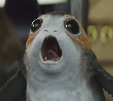 porgs Blank Meme Template