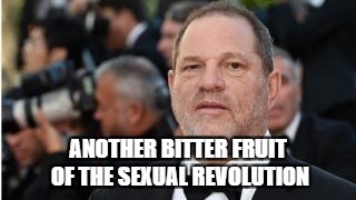 Weinstein | ANOTHER BITTER FRUIT OF THE SEXUAL REVOLUTION | image tagged in scumbag hollywood | made w/ Imgflip meme maker