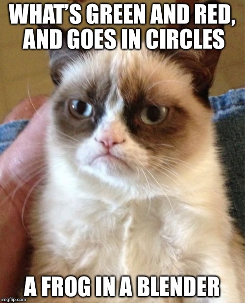 Oh, The Irony  | WHAT’S GREEN AND RED, AND GOES IN CIRCLES; A FROG IN A BLENDER | image tagged in memes,grumpy cat | made w/ Imgflip meme maker