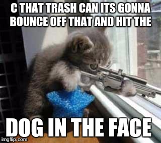 CatSniper | C THAT TRASH CAN ITS GONNA BOUNCE OFF THAT AND HIT THE; DOG IN THE FACE | image tagged in catsniper | made w/ Imgflip meme maker