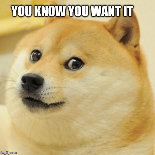 Doge Meme | YOU KNOW YOU WANT IT | image tagged in memes,doge | made w/ Imgflip meme maker