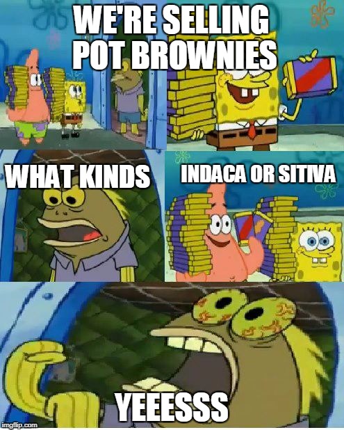 Chocolate Spongebob | WE'RE SELLING POT BROWNIES; WHAT KINDS; INDACA OR SITIVA; YEEESSS | image tagged in memes,chocolate spongebob | made w/ Imgflip meme maker