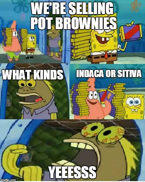 Chocolate Spongebob Meme | WE'RE SELLING POT BROWNIES; WHAT KINDS; INDACA OR SITIVA; YEEESSS | image tagged in memes,chocolate spongebob | made w/ Imgflip meme maker