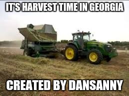 harvest time | IT'S HARVEST TIME IN GEORGIA; CREATED BY DANSANNY | image tagged in funny memes | made w/ Imgflip meme maker