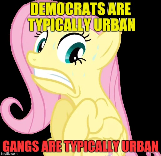 DEMOCRATS ARE TYPICALLY URBAN GANGS ARE TYPICALLY URBAN | made w/ Imgflip meme maker