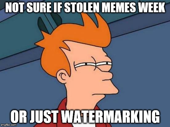 Futurama Fry Meme | NOT SURE IF STOLEN MEMES WEEK; OR JUST WATERMARKING | image tagged in memes,futurama fry | made w/ Imgflip meme maker