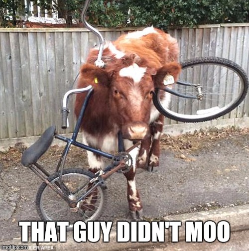 THAT GUY DIDN'T MOO | made w/ Imgflip meme maker