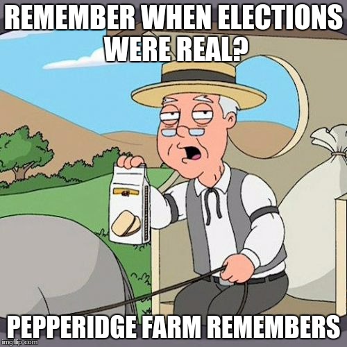 Pepperidge Farm Remembers | REMEMBER WHEN ELECTIONS WERE REAL? PEPPERIDGE FARM REMEMBERS | image tagged in memes,pepperidge farm remembers | made w/ Imgflip meme maker