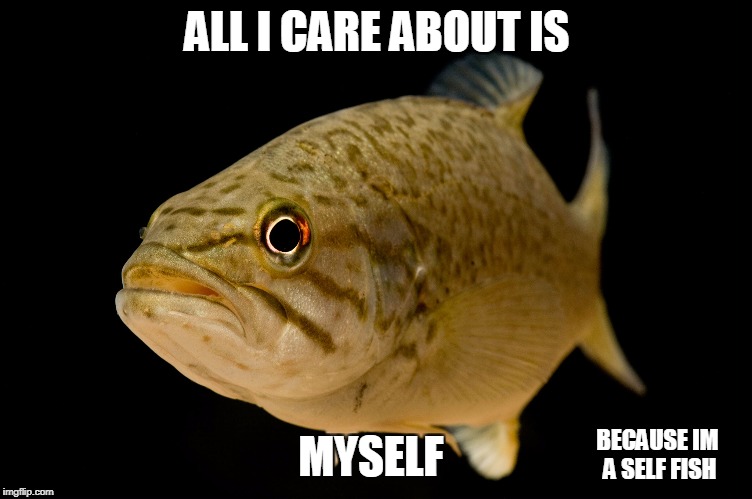 Fish | ALL I CARE ABOUT IS; MYSELF; BECAUSE IM A SELF FISH | image tagged in useless | made w/ Imgflip meme maker