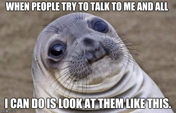 Awkward Moment Sealion Meme | WHEN PEOPLE TRY TO TALK TO ME AND ALL; I CAN DO IS LOOK AT THEM LIKE THIS. | image tagged in memes,awkward moment sealion | made w/ Imgflip meme maker