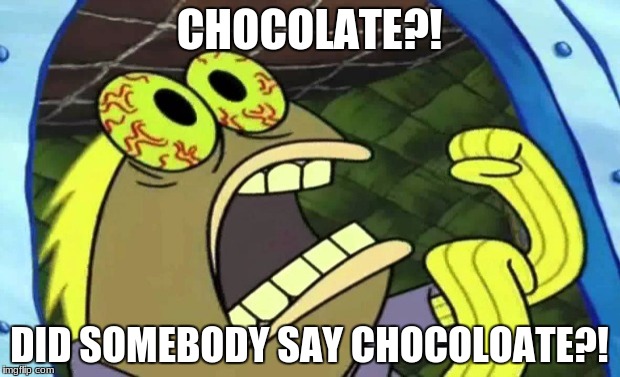 Spongebob Chocolate | CHOCOLATE?! DID SOMEBODY SAY CHOCOLOATE?! | image tagged in spongebob chocolate | made w/ Imgflip meme maker