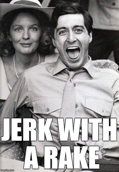 laughing | JERK WITH A RAKE | image tagged in laughing | made w/ Imgflip meme maker