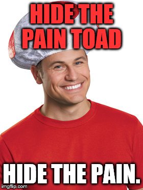 HIDE THE PAIN TOAD; HIDE THE PAIN. | image tagged in hide the pain toad | made w/ Imgflip meme maker
