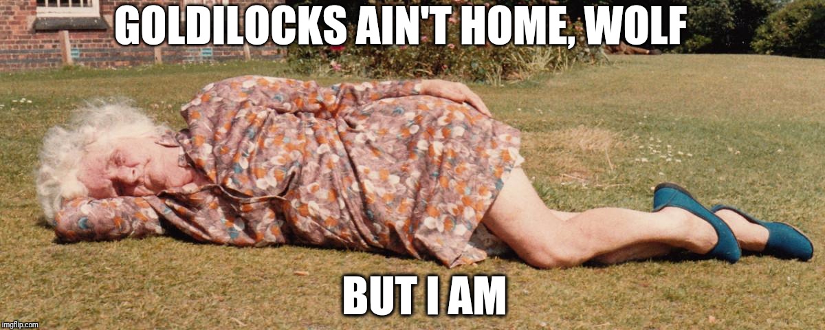 Even Grandma needs a little action sometimes | GOLDILOCKS AIN'T HOME, WOLF; BUT I AM | image tagged in lonely,grandma | made w/ Imgflip meme maker