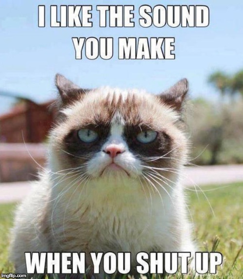 Yes | image tagged in grumpy cat,funny,shut up,cats | made w/ Imgflip meme maker