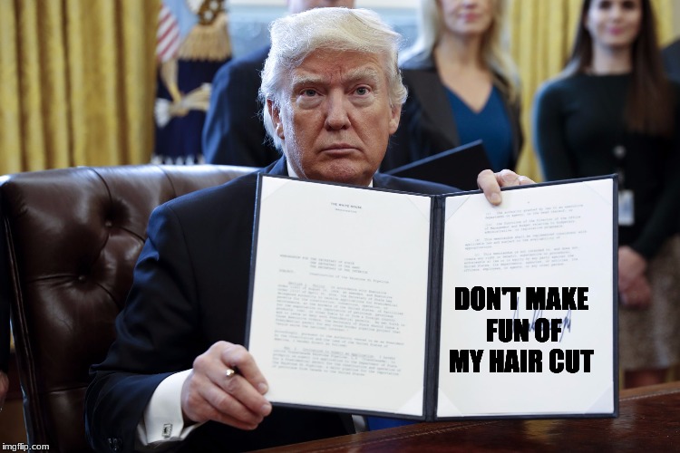 Donald Trump Executive Order | DON'T MAKE FUN OF MY HAIR CUT | image tagged in donald trump executive order | made w/ Imgflip meme maker
