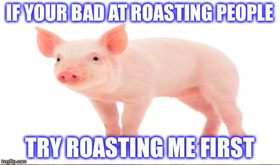 ROASTING PEOPLE | IF YOUR BAD AT ROASTING PEOPLE; TRY ROASTING ME FIRST | image tagged in pigs | made w/ Imgflip meme maker