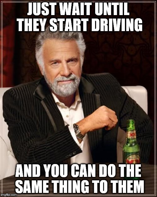 The Most Interesting Man In The World Meme | JUST WAIT UNTIL THEY START DRIVING AND YOU CAN DO THE SAME THING TO THEM | image tagged in memes,the most interesting man in the world | made w/ Imgflip meme maker