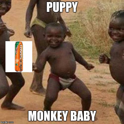 Third World Success Kid Meme | PUPPY; MONKEY BABY | image tagged in memes,third world success kid | made w/ Imgflip meme maker
