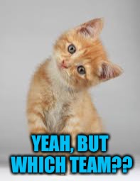 YEAH, BUT WHICH TEAM?? | made w/ Imgflip meme maker